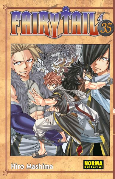 Libro: FAIRY TAIL 35