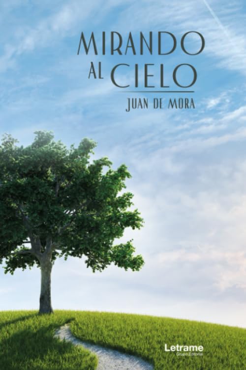 Libro: Mirando al cielo: 1 (Novela)