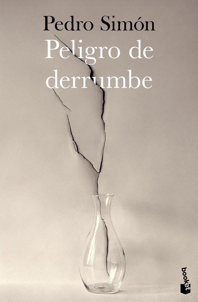 Libro: Peligro de derrumbe (Novela)