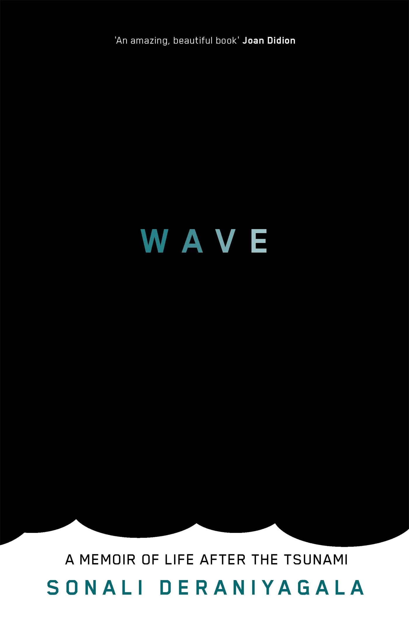 Libro: Wave: A Memoir of Life After the Tsunami