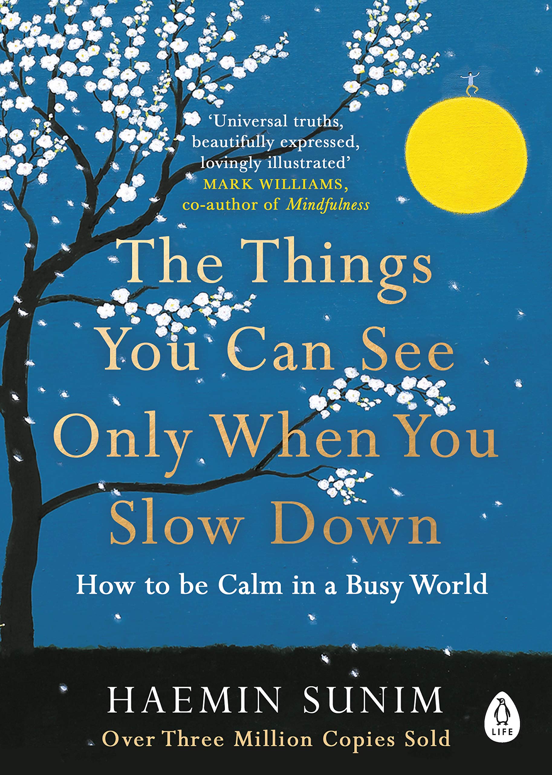 Libro: The Things You Can See Only When You Slow Down: Bring calm to your life with the ultimate mindfulness guide from a Buddhist monk