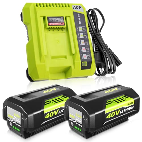 Paquete-de-2-baterías-de-repuesto-de-litio-OP4026-de-40-voltios-y-6,0-Ah,-y-cargador-IntelliPort-de-doble-química-OP401,-compatibles-con-la-batería-Ryobi-de-40-V-OP4050A,-OP40601,-OP4026A,-OP4040,-OP4030,-OP4050-y-OP40261-(verde).