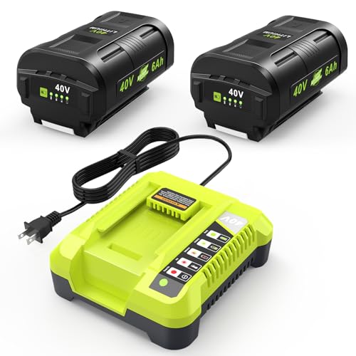 Paquete-de-2-baterías-Labtec-de-iones-de-litio-OP4060-de-40-voltios-y-6,0-Ah-y-cargador-OP401-de-repuesto-para-la-batería-y-cargador-combinados-Ryobi-de-40-V-OP403A-OP40601-OP4026-OP4050A.-Compatible-con-herramientas-eléctricas-Ryobi-de-40-voltios.