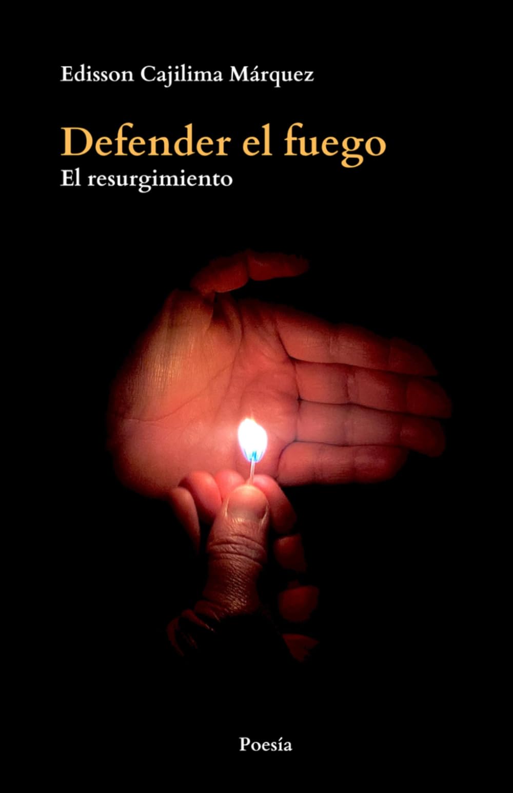 Libro: Defender el fuego: El resurgimiento (Spanish Edition)