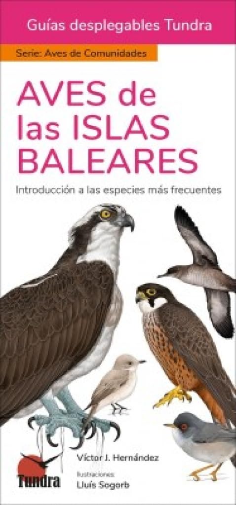 Libro: Aves de las Islas Baleares (GUIAS DESPLEGABLES)