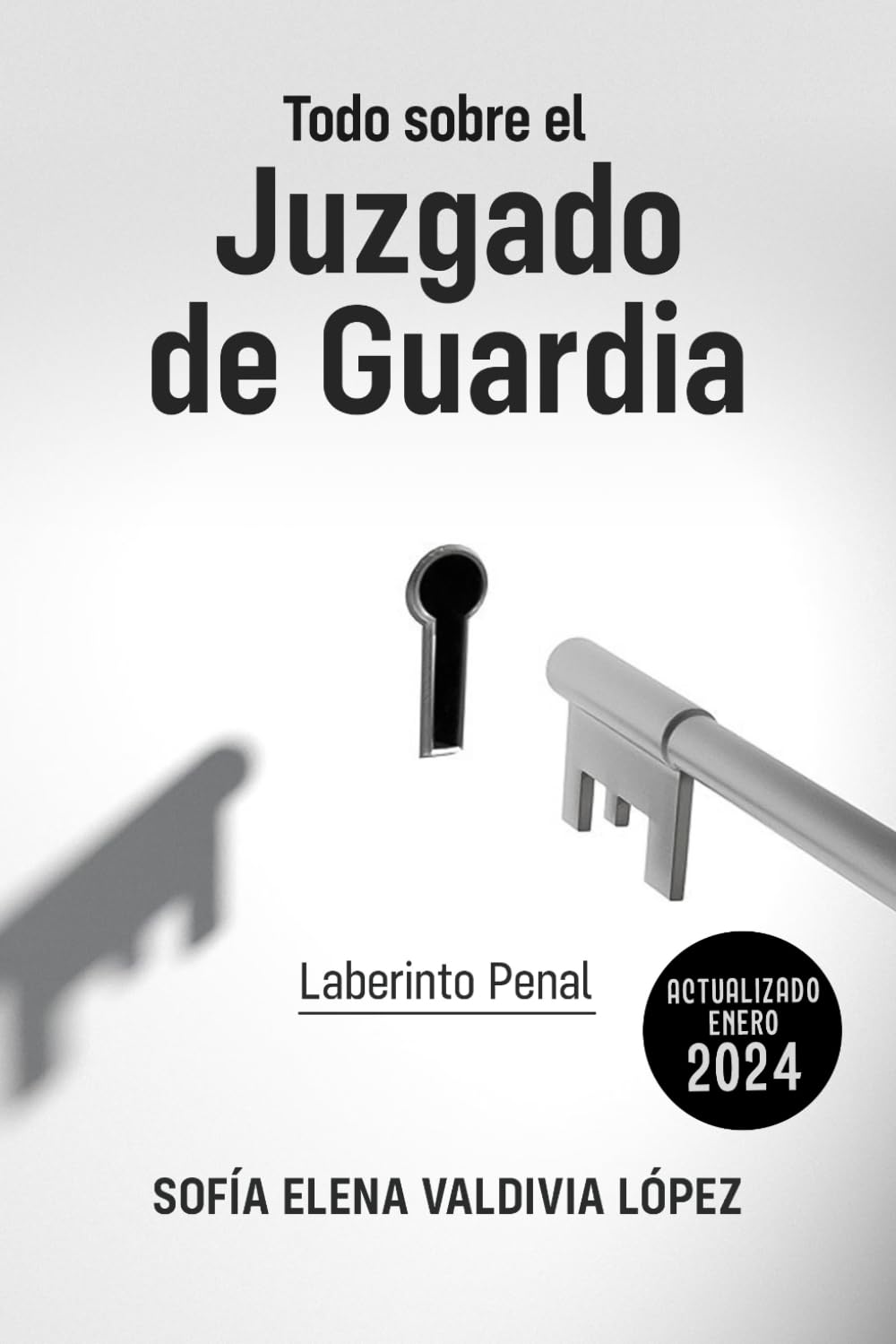 Libro: TODO SOBRE EL JUZGADO DE GUARDIA: LABERINTO PENAL (Spanish Edition)