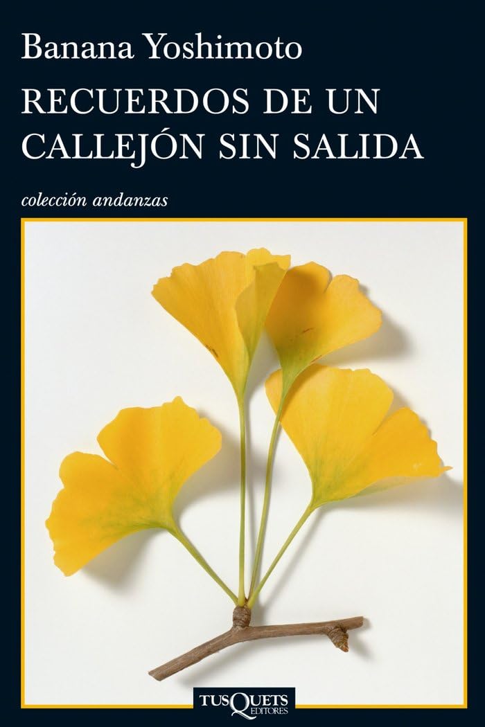 Libro: Recuerdos de un callejón sin salida (Spanish Edition)
