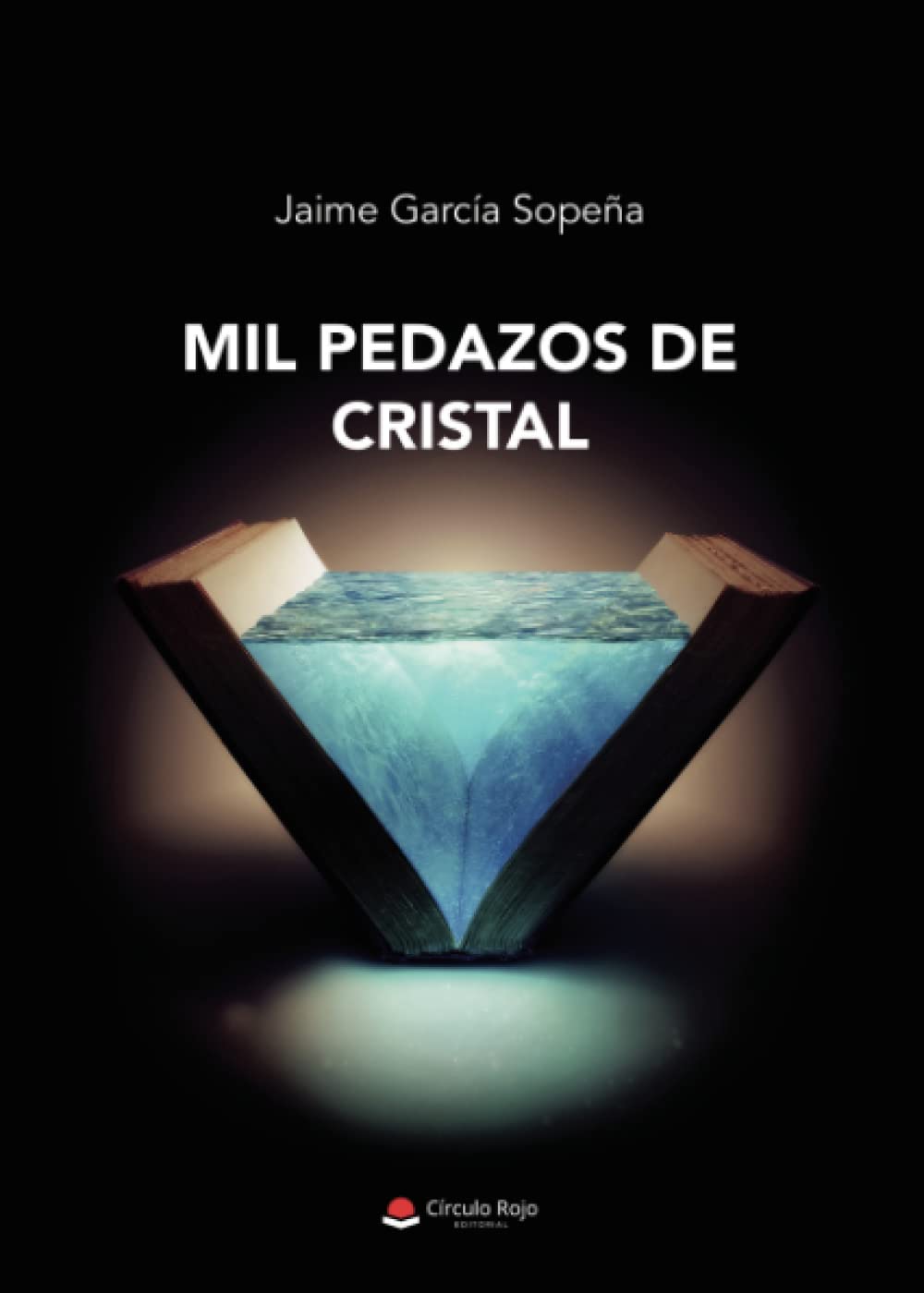 Libro: Mil pedazos de cristal (Spanish Edition)