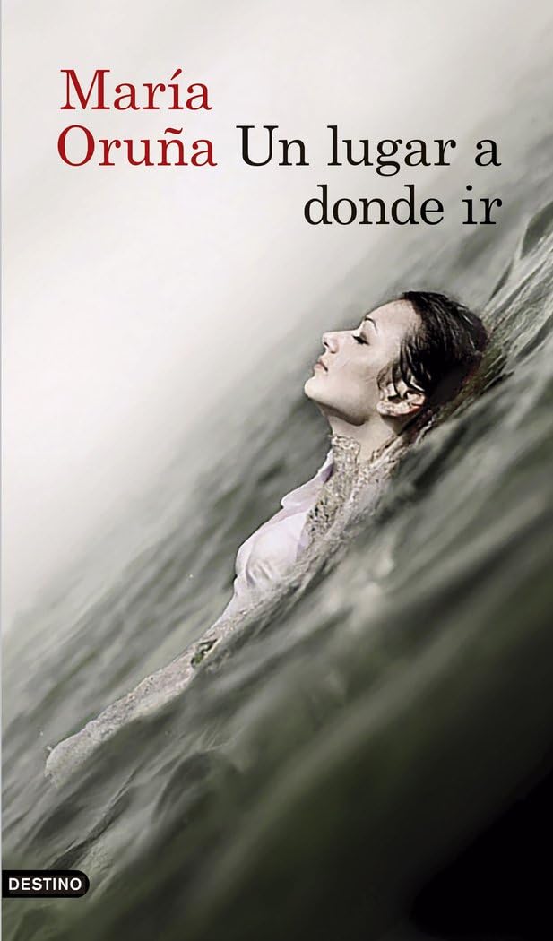 Libro: Un lugar a donde ir (Áncora & Delfín)