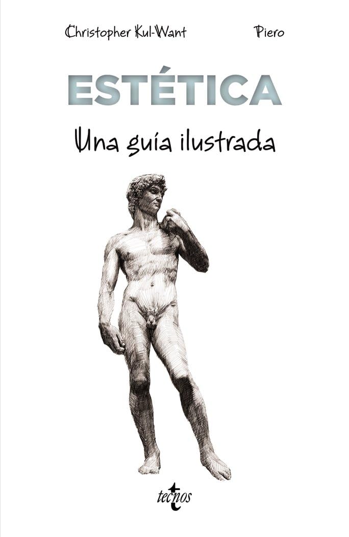 Libro: Estética: Una guía ilustrada