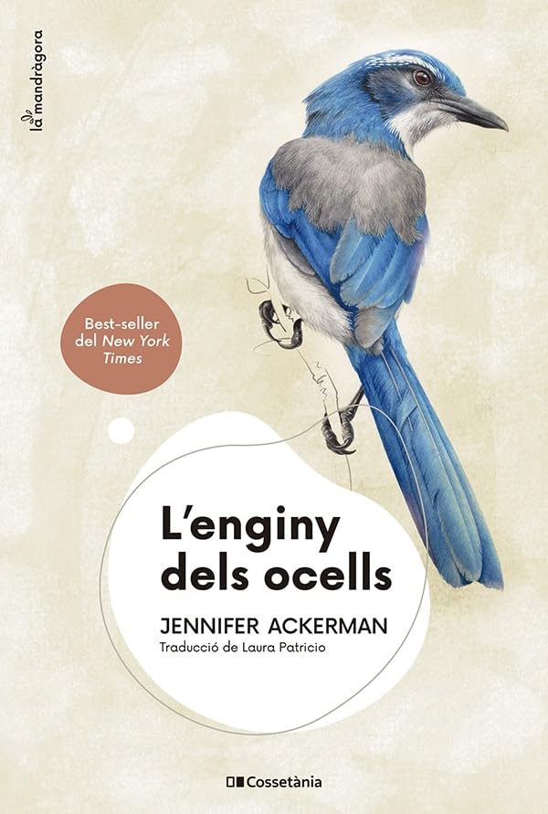 Libro: L'enginy Dels Ocells: 13 (La Mandràgora)
