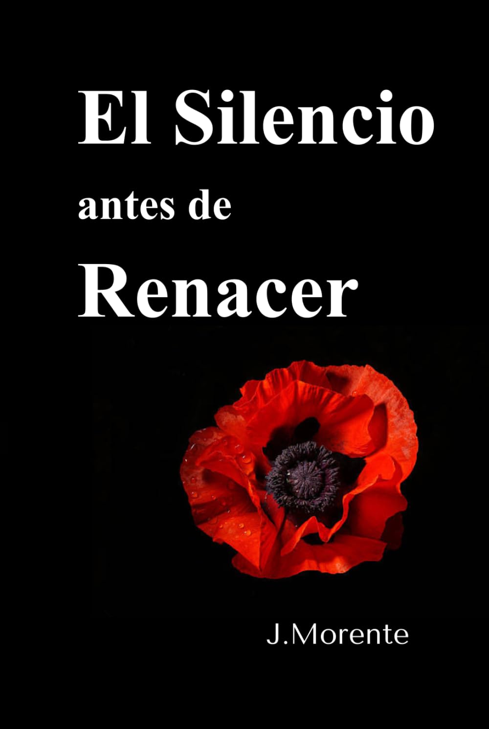 Libro: El Silencio antes de Renacer: Cuando el alma empieza a hablar (Spanish Edition)