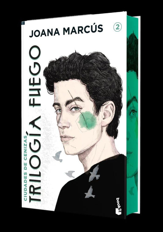 Ciudades de cenizas. Edición especial con cantos decorados: Trilogía fuego, 2 (Colección Especial)