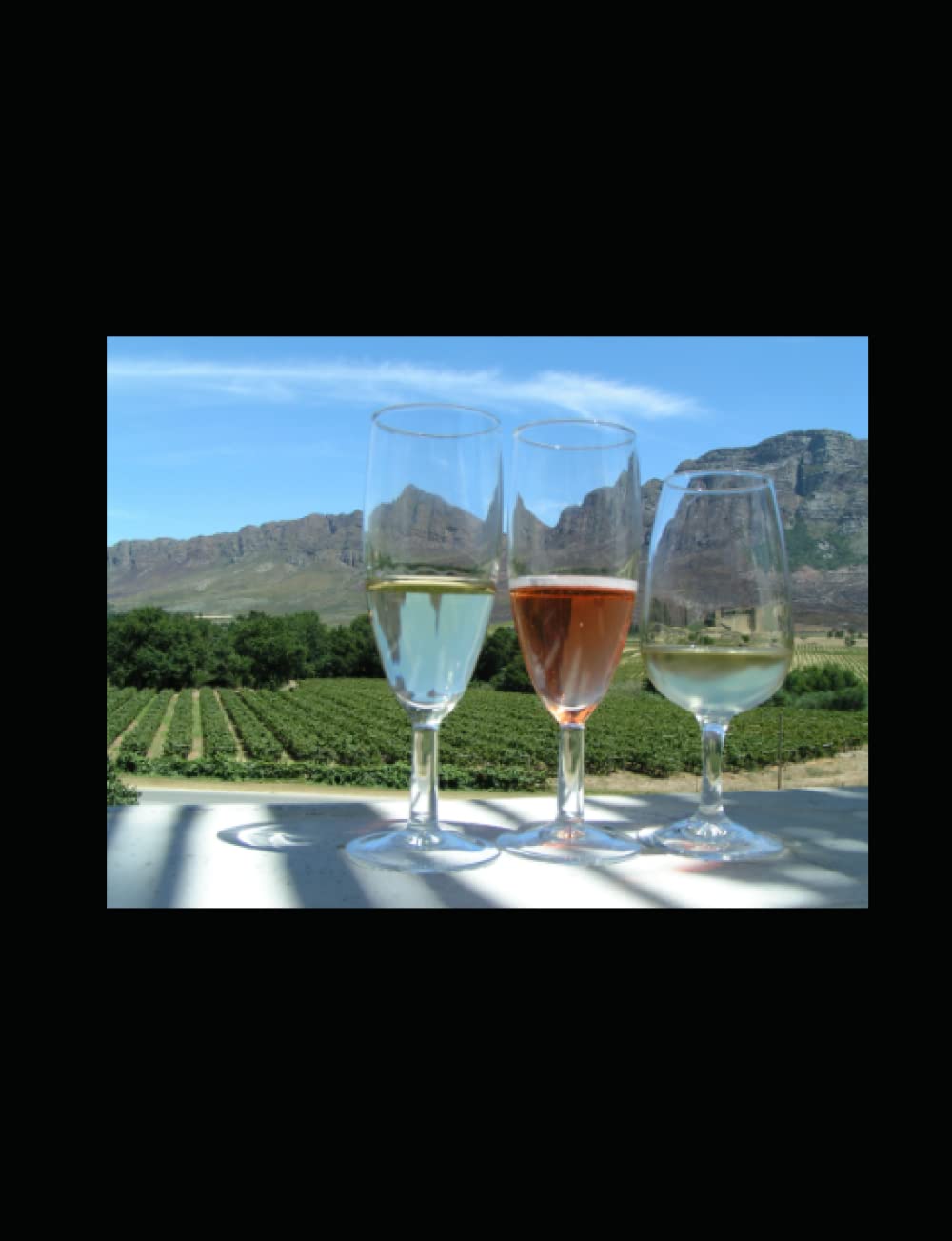 Libro: CATANDO VINOS: MANUAL PARA APRENDER A CATAR VINOS (Spanish Edition)