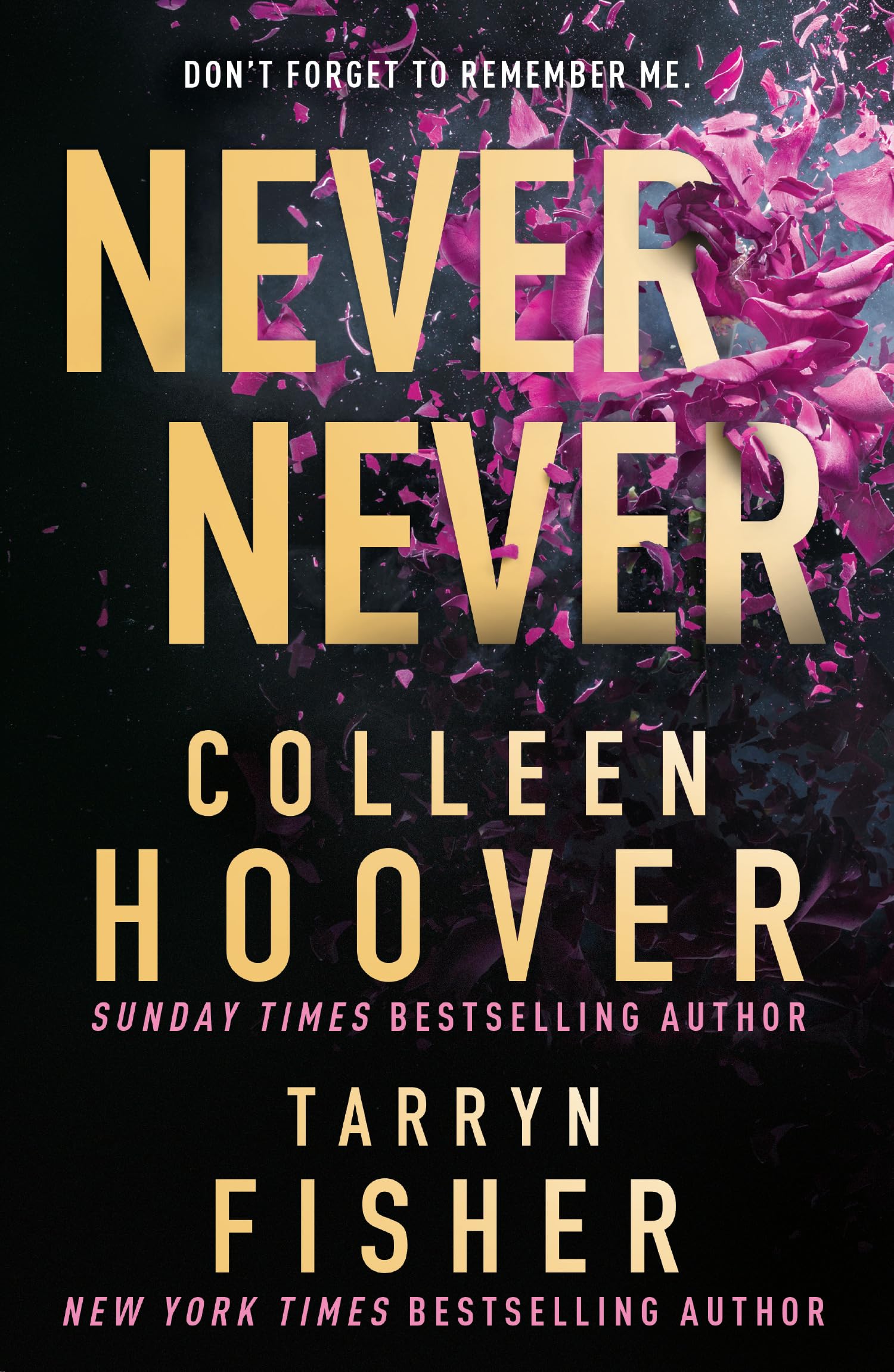 Libro: Never Never: TikTok made me buy it!