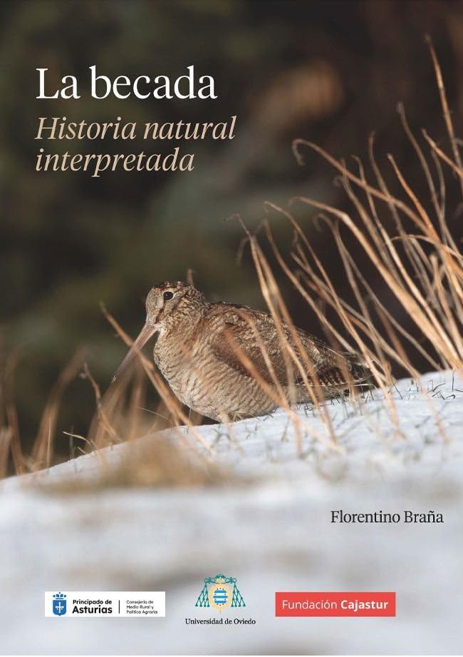 Libro: La becada: Historia natural interpretada