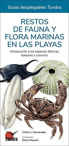 Restos de fauna y flora marinas en las playas. Introducción a las especies ibéricas, baleares y canarias (CUADERNOS DE NATURALEZA)