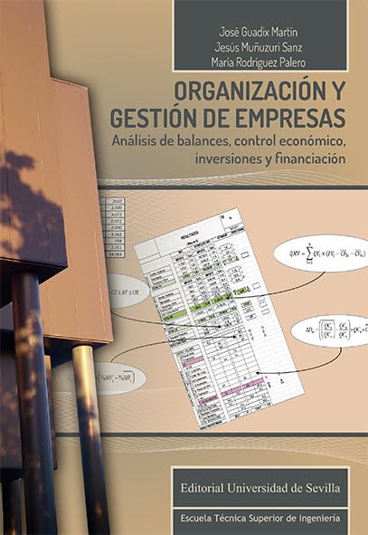 Libro: Organización y gestión de empresas: Análisis de balances, control económico, inversiones y financiación