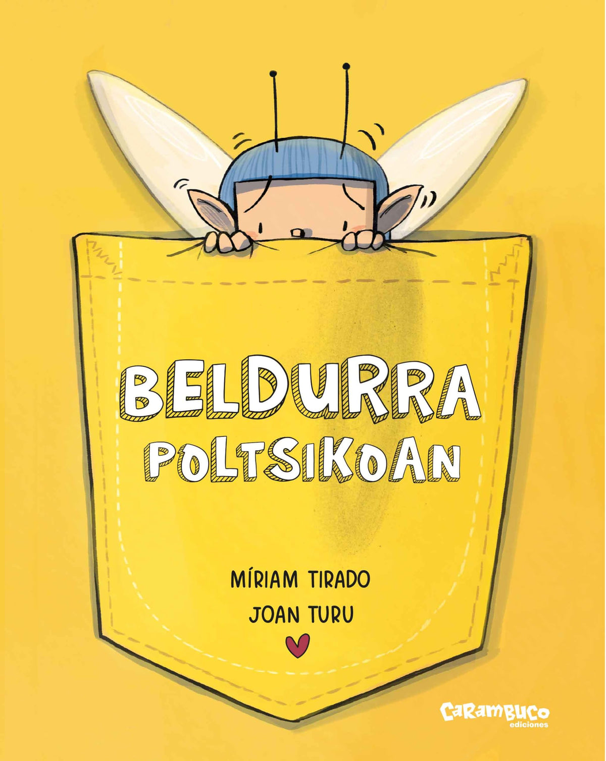 Libro: Beldurra poltsikoan