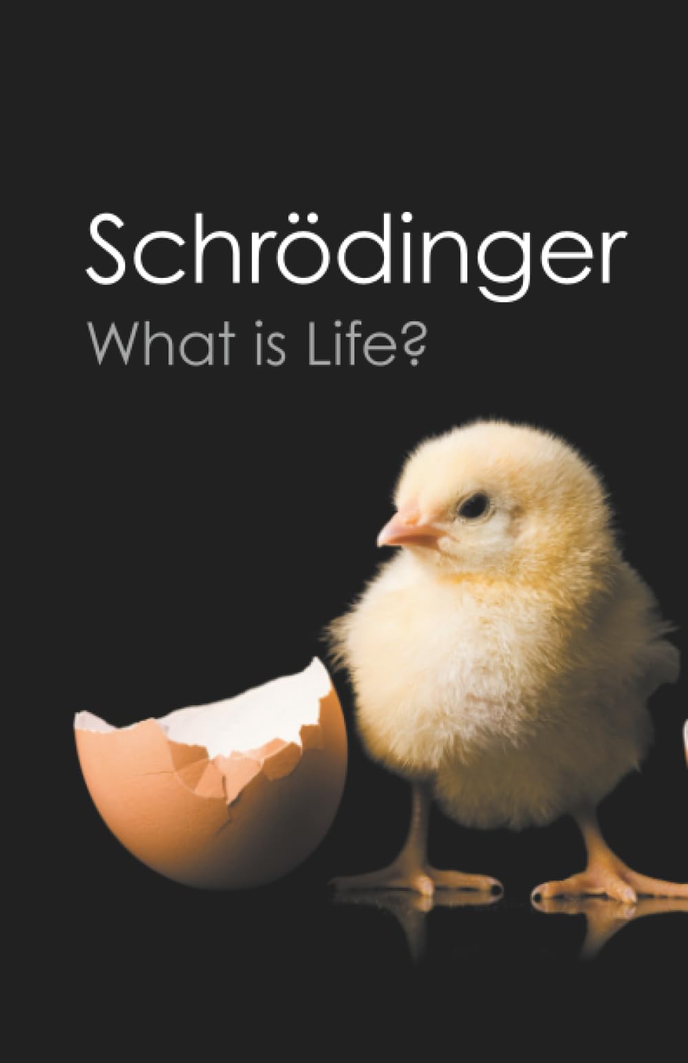 Libro: What is Life? Paperback (Canto Classics)