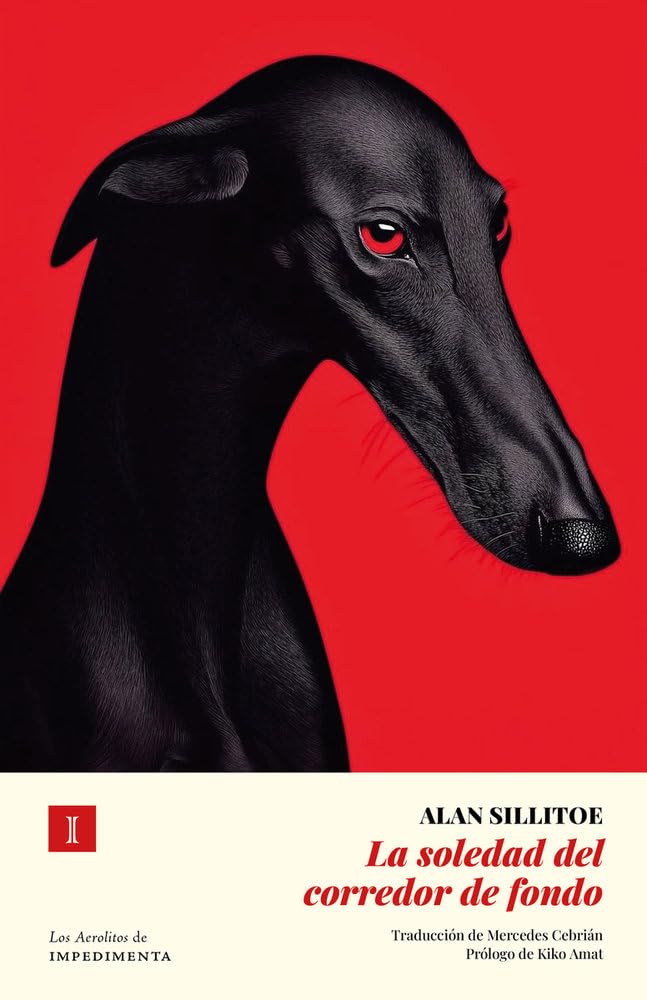 Libro: La soledad del corredor de fondo (N.Ed.) (Los Aerolitos)