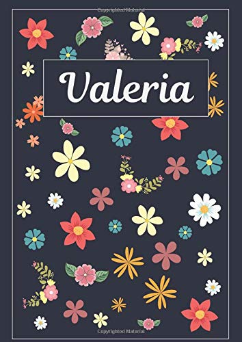 Libro: Valeria: Taccuino | Diario | Sketchbook | 120 pagine | A4 | Bianco | Idee regalo