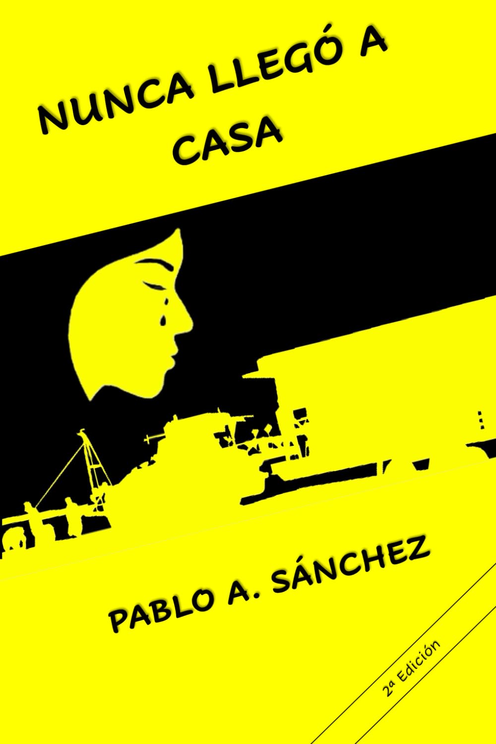 Libro: NUNCA LLEGÓ A CASA (Spanish Edition)