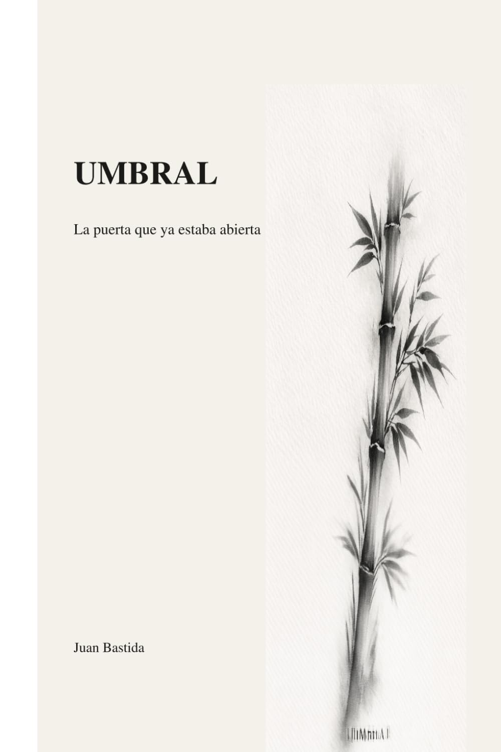 Libro: UMBRAL: La puerta ya estaba abierta (Spanish Edition)