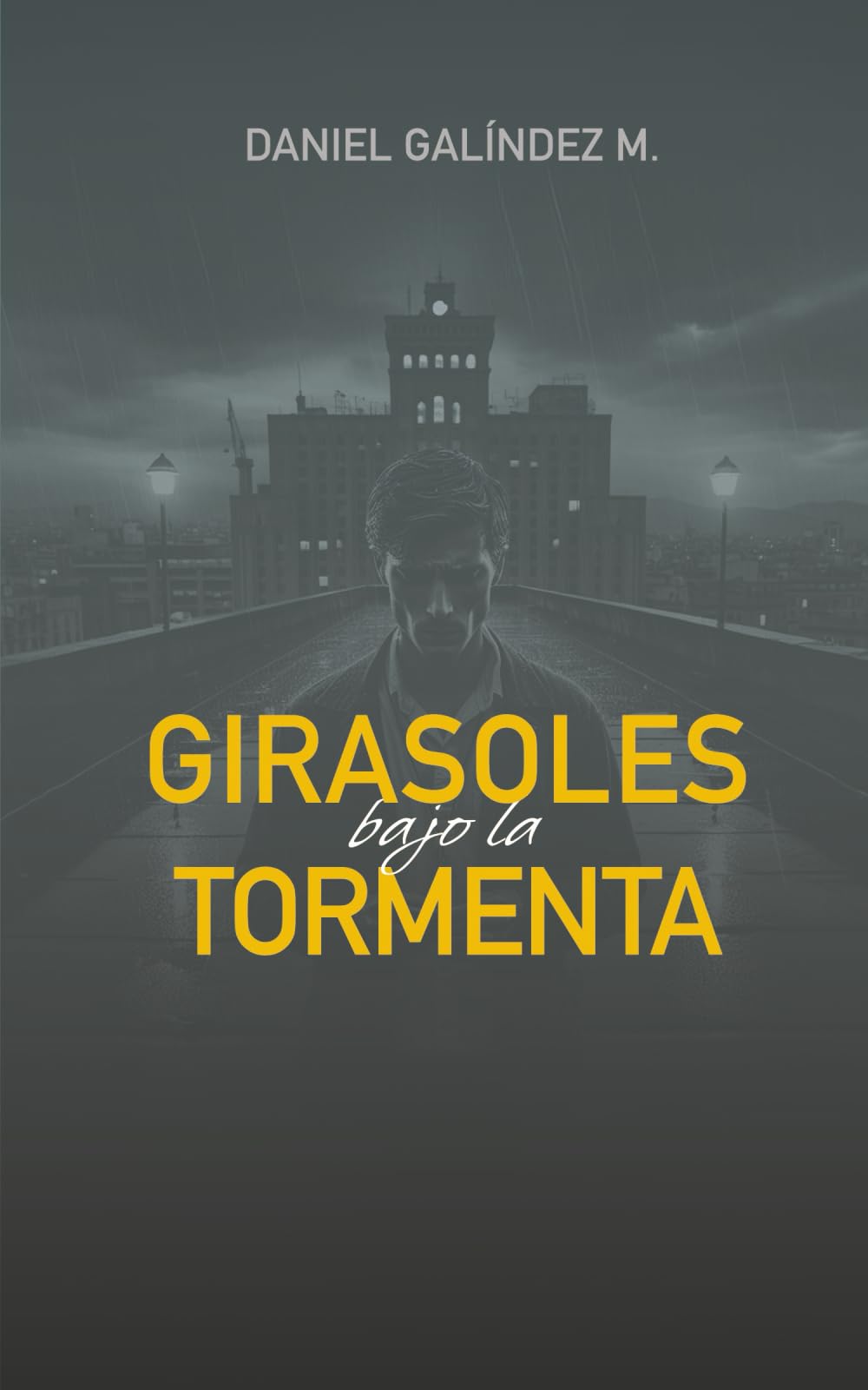 Libro: Girasoles bajo la Tormenta (Spanish Edition)