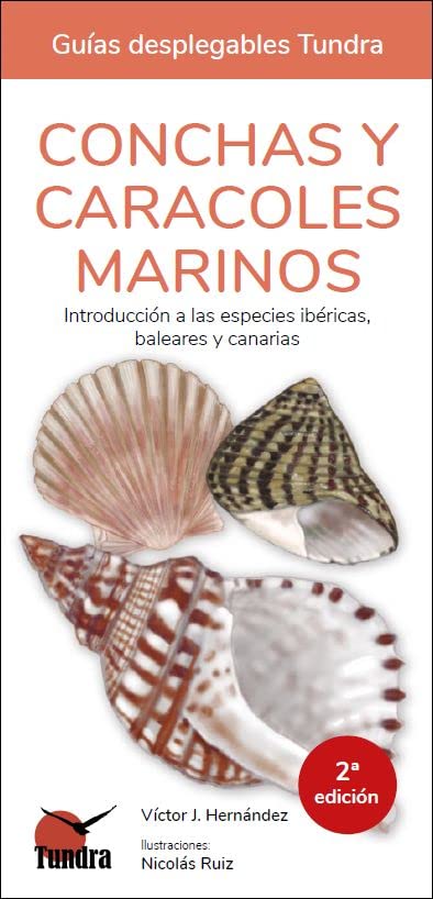 Libro: Conchas y caracoles marinos (2 edicion)