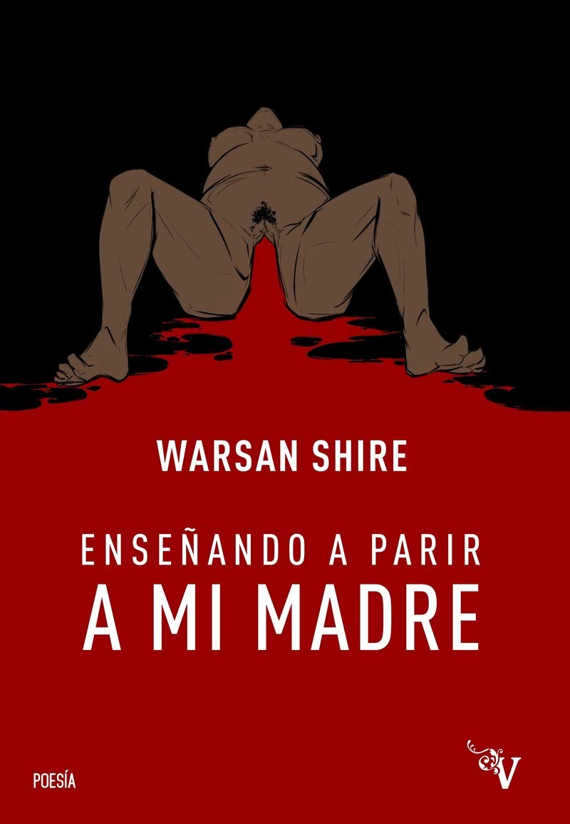 Libro: Enseñando a parir a mi madre (Valparaíso Poesía)