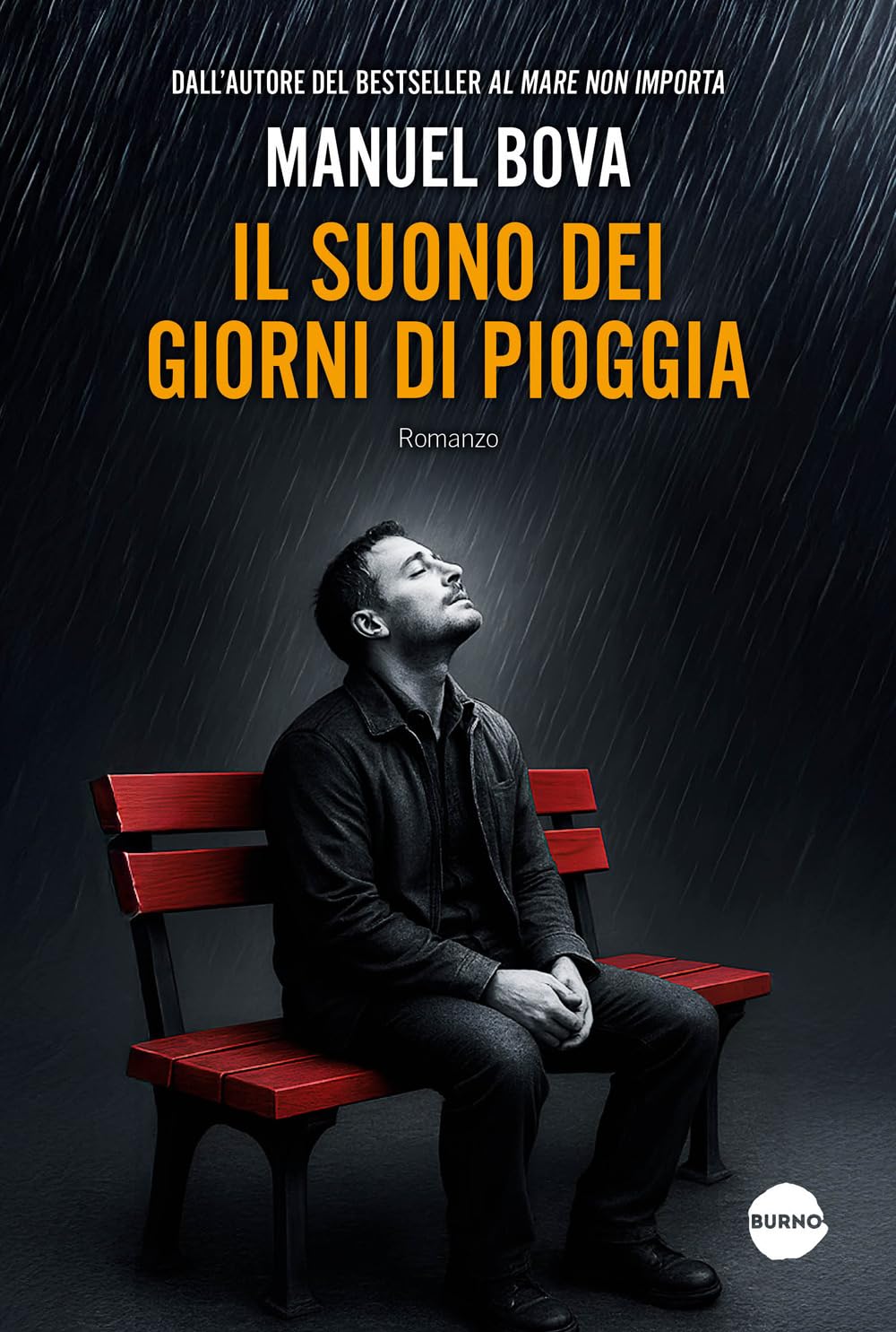 Libro: Il suono dei giorni di pioggia (Narrativa)