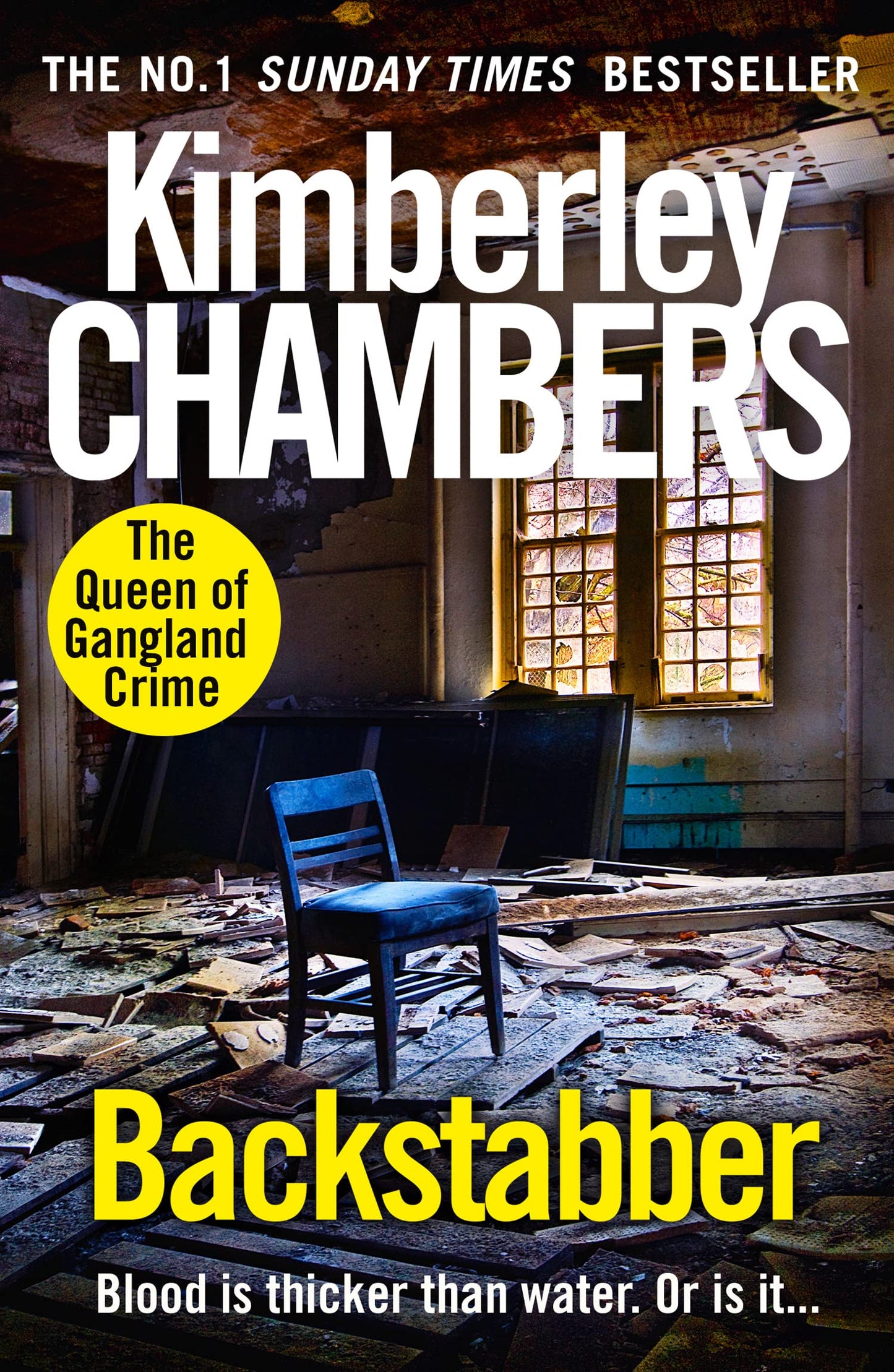 Libro: Backstabber: The No. 1 bestseller at her shocking, gripping best – this book has a twist and a sting in its tail! (Butlers 5)