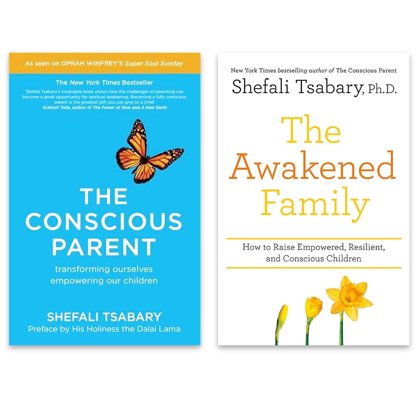 Libro: Shefali Tsabary 2 Books Collection Set (The Conscious Parent: Transforming Ourselves, Empowering Our Children & The Awakened Family: How to Raise Empowered, Resilient, and Conscious Children)