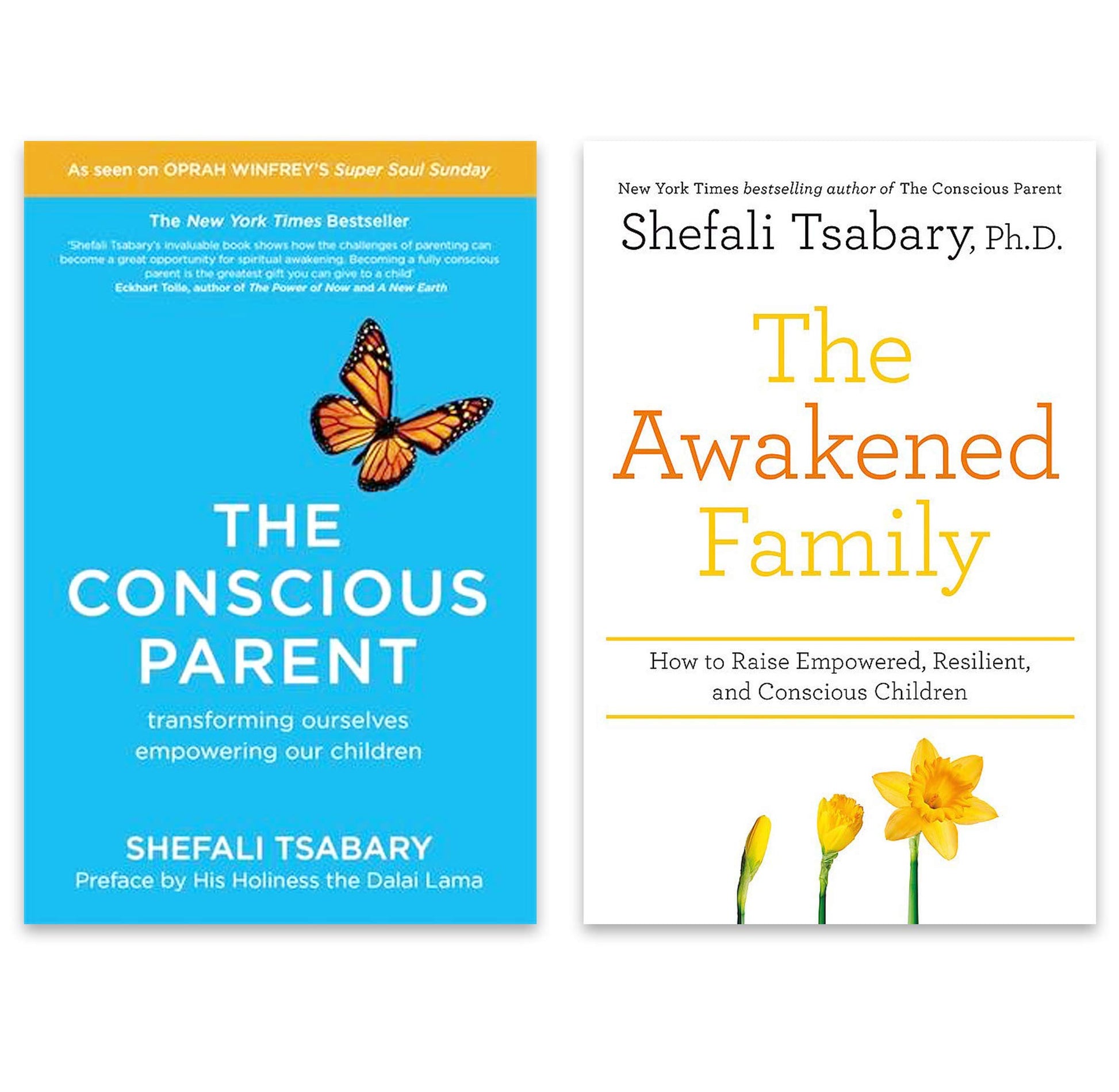 Libro: Shefali Tsabary 2 Books Collection Set (The Conscious Parent: Transforming Ourselves, Empowering Our Children & The Awakened Family: How to Raise Empowered, Resilient, and Conscious Children)