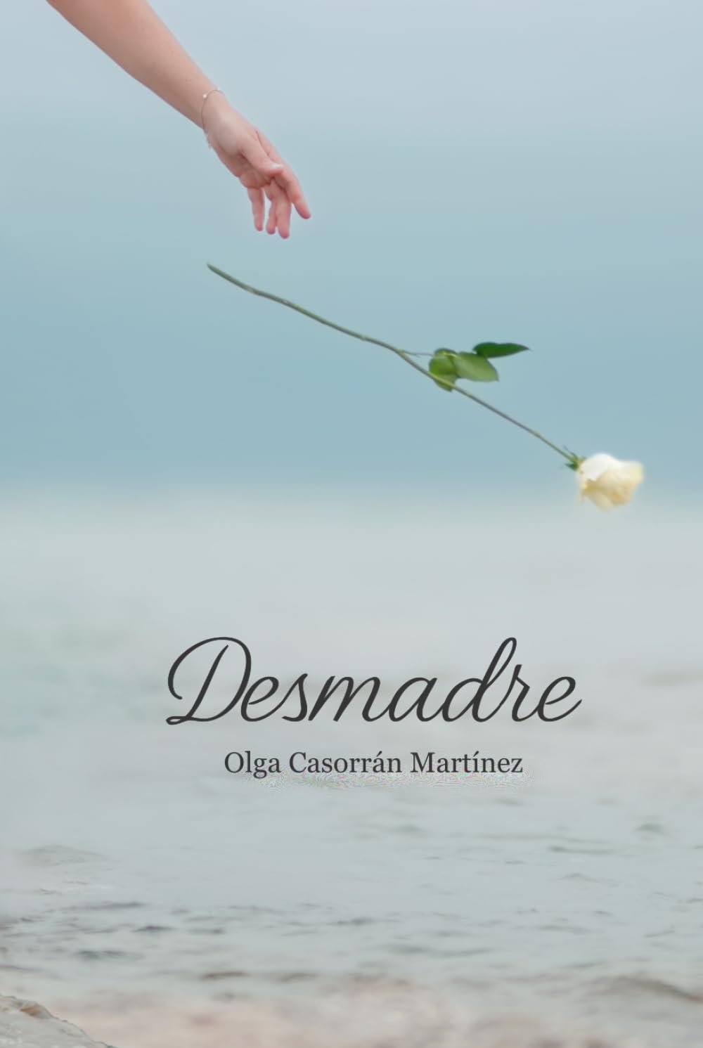Libro: Desmadre