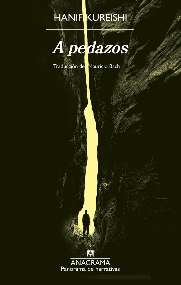 Libro: A pedazos (Spanish Edition)