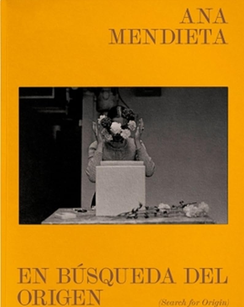 Libro: EN BÚSQUEDA DEL ORIGEN (SEARCH FOR ORIGIN)