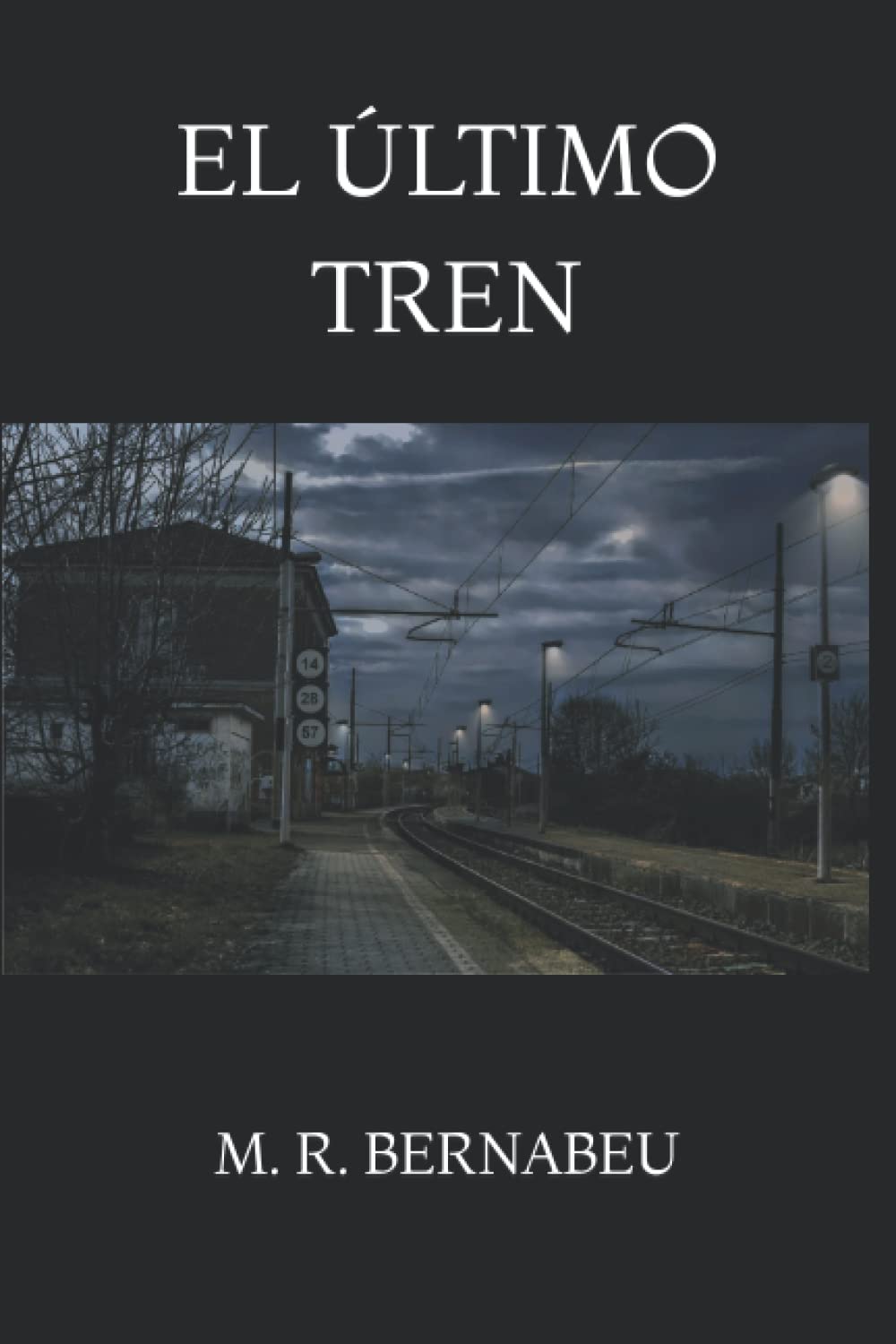Libro: El último tren (Spanish Edition)