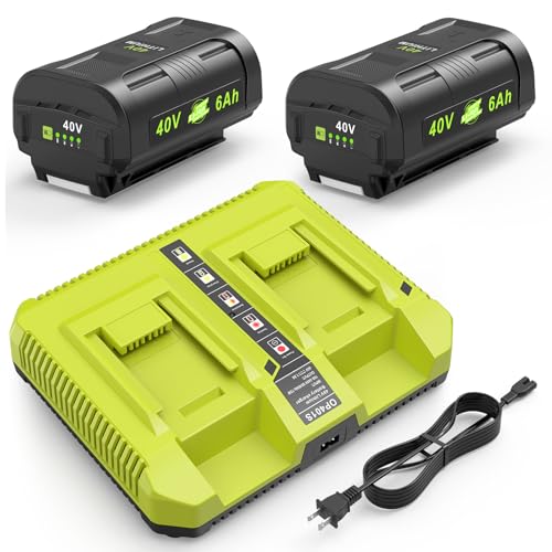 Batería-de-litio-Labtec-de-40-V-y-6-Ah-(paquete-de-2)-para-Ryobi-y-OP401S.-Kit-de-cargador-para-herramientas-Ryobi-de-40-V.-Reemplazo-de-alta-capacidad-para-OP4026/OP4040/OP4050.