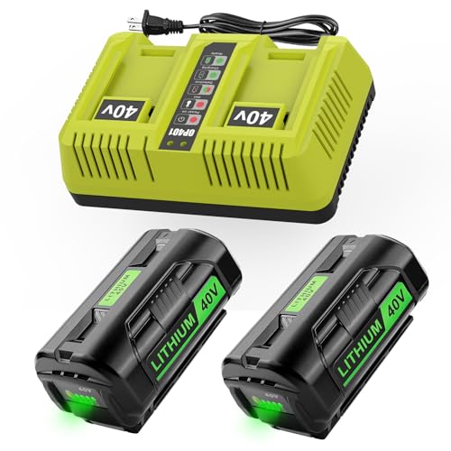 Batería-de-iones-de-litio-AYTXTG-OP401-de-40-voltios-y-6500-mAh-compatible-con-Ryobi-de-40-V,-OP4026,-OP40201,-OP4040,-OP40401,-OP4050,-OP4050A,-OP40501-con-cargador-doble-de-40-V.