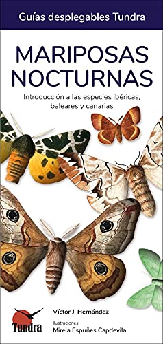 Libro: Mariposas nocturnas. Introducción a las especies ibéricas, baleares y canarias (CUADERNOS DE NATURALEZA)