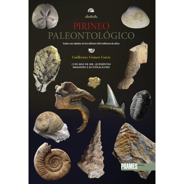 Libro: PIRINEO PALEONTOLÓGICO: TODAS SUS EDADES EN LOS ÚLTIMOS 500 MILLONES DE AÑOS