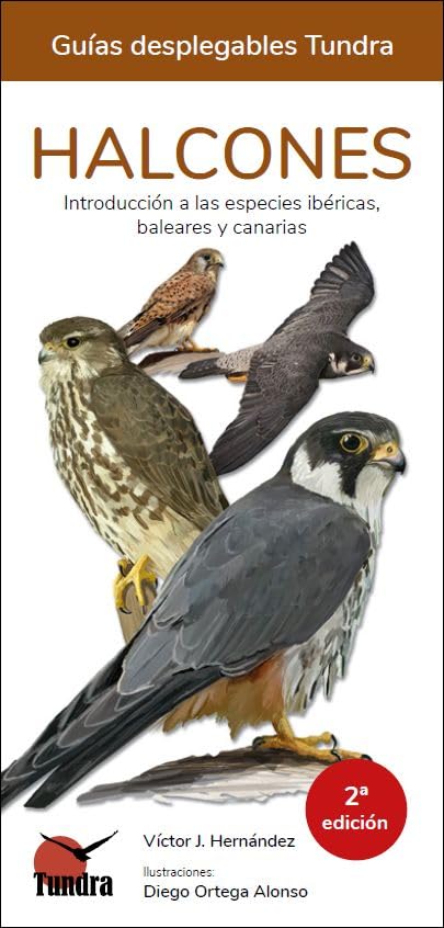 Libro: Halcones (GUIAS DESPLEGABLES)