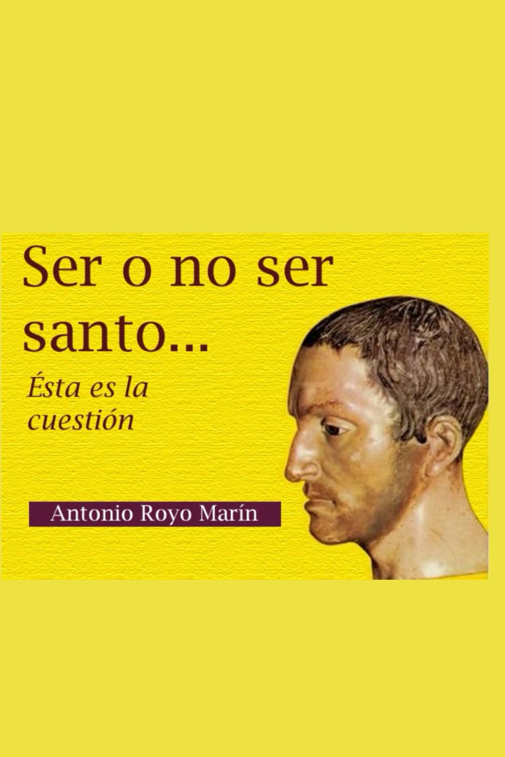 Libro: SER O NO SER SANTO: Esta es la cuestión