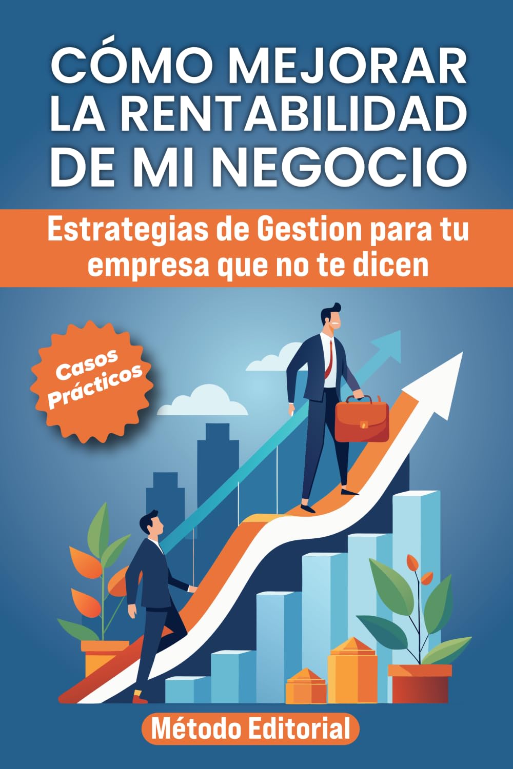 Libro: COMO MEJORAR LA RENTABILIDAD DE MI NEGOCIO: Estrategias De Gestión Para Tu Empresa Que No Te Dicen. Casos y Ejemplos Practicos. (Spanish Edition)