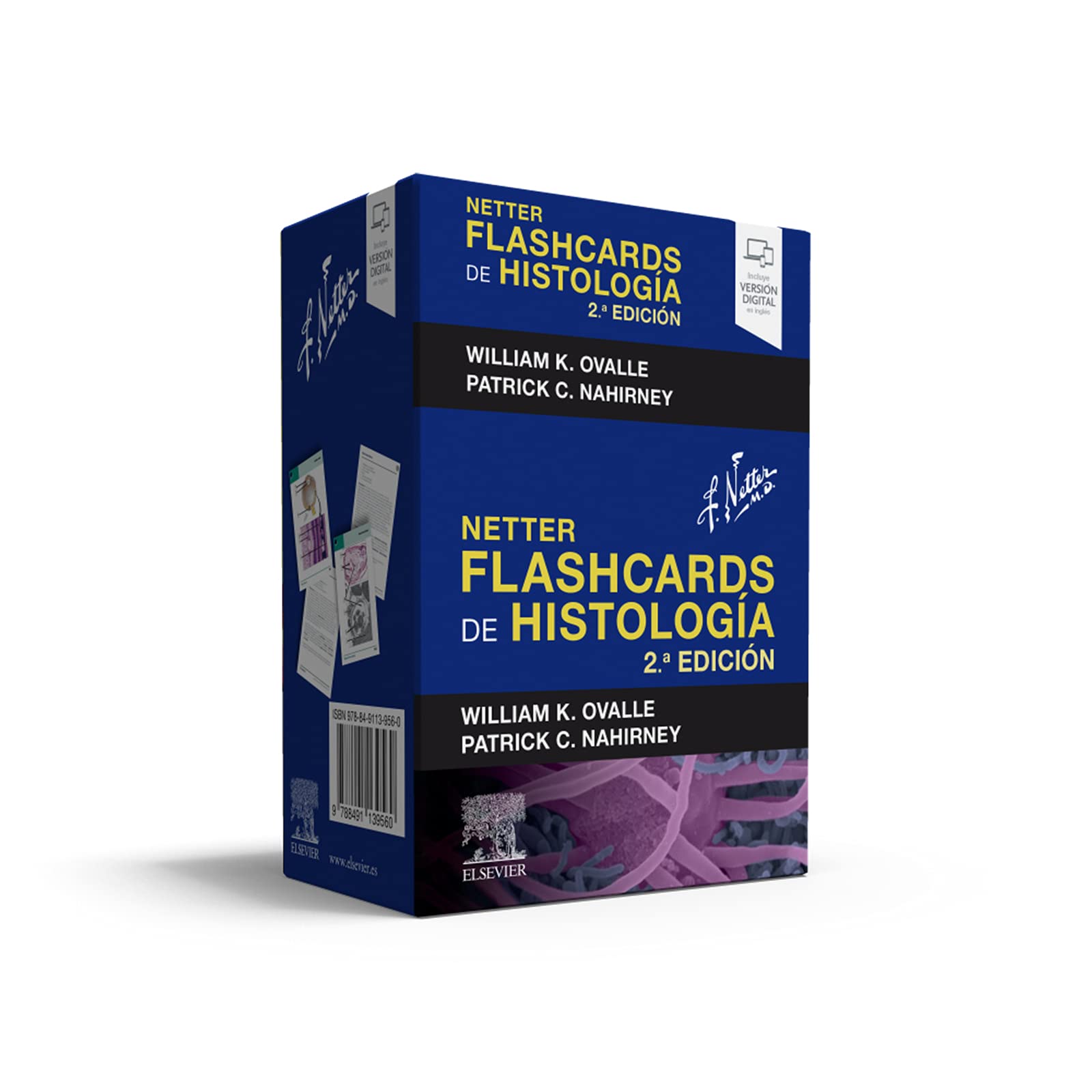Libro: Netter. Flashcards de histología