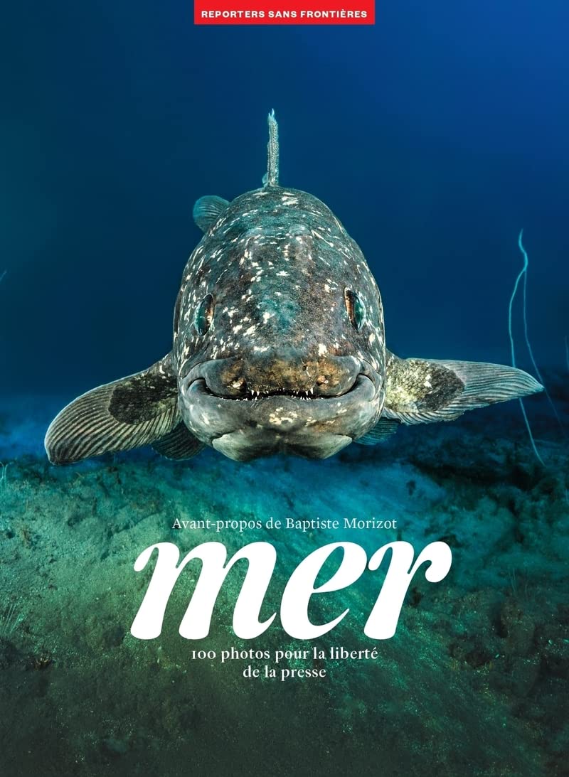 Libro: MER: 100 photos pour la liberté de la presse (SIN COLECCION)