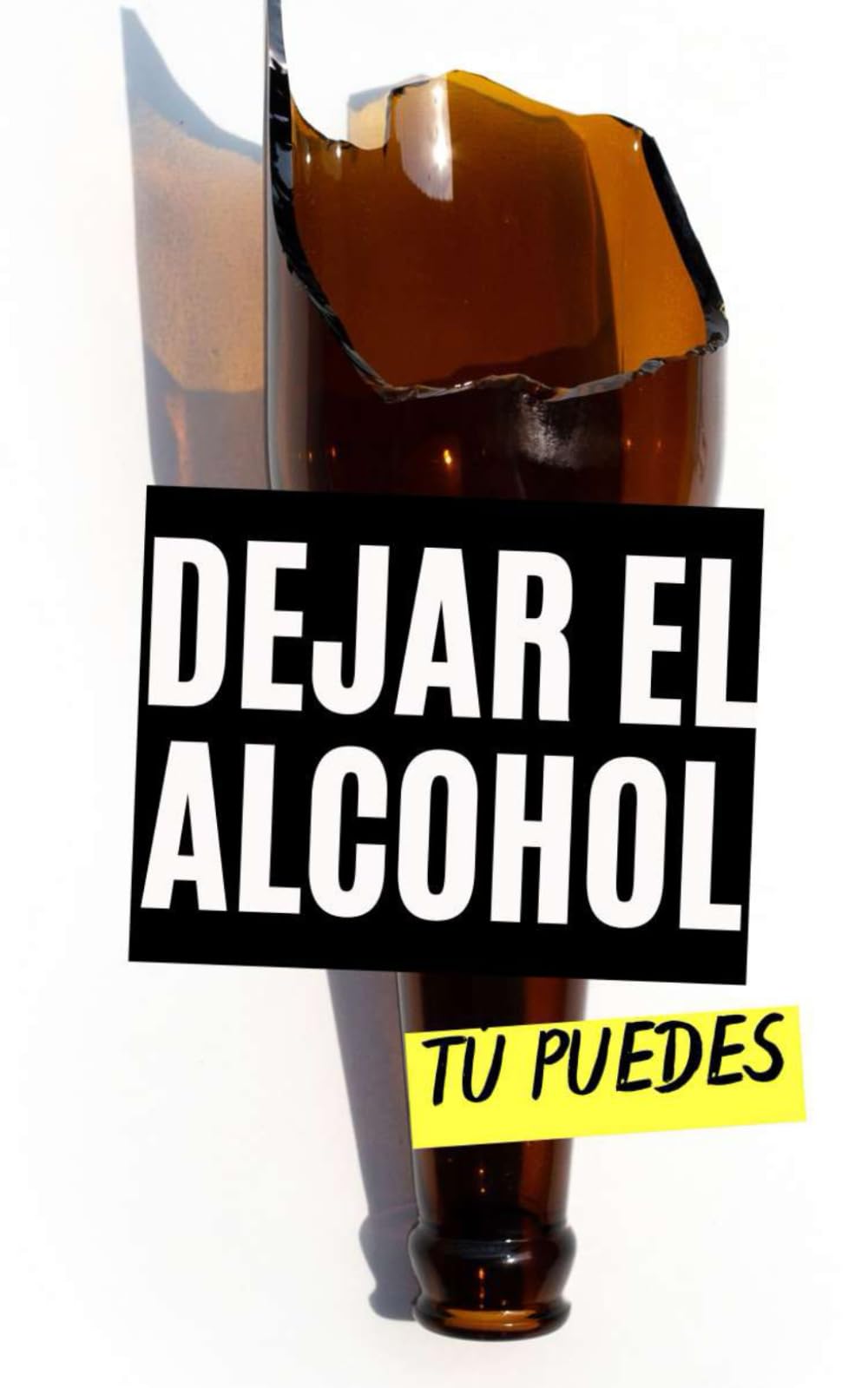 Libro: Dejar el Alcohol : Tú Puedes