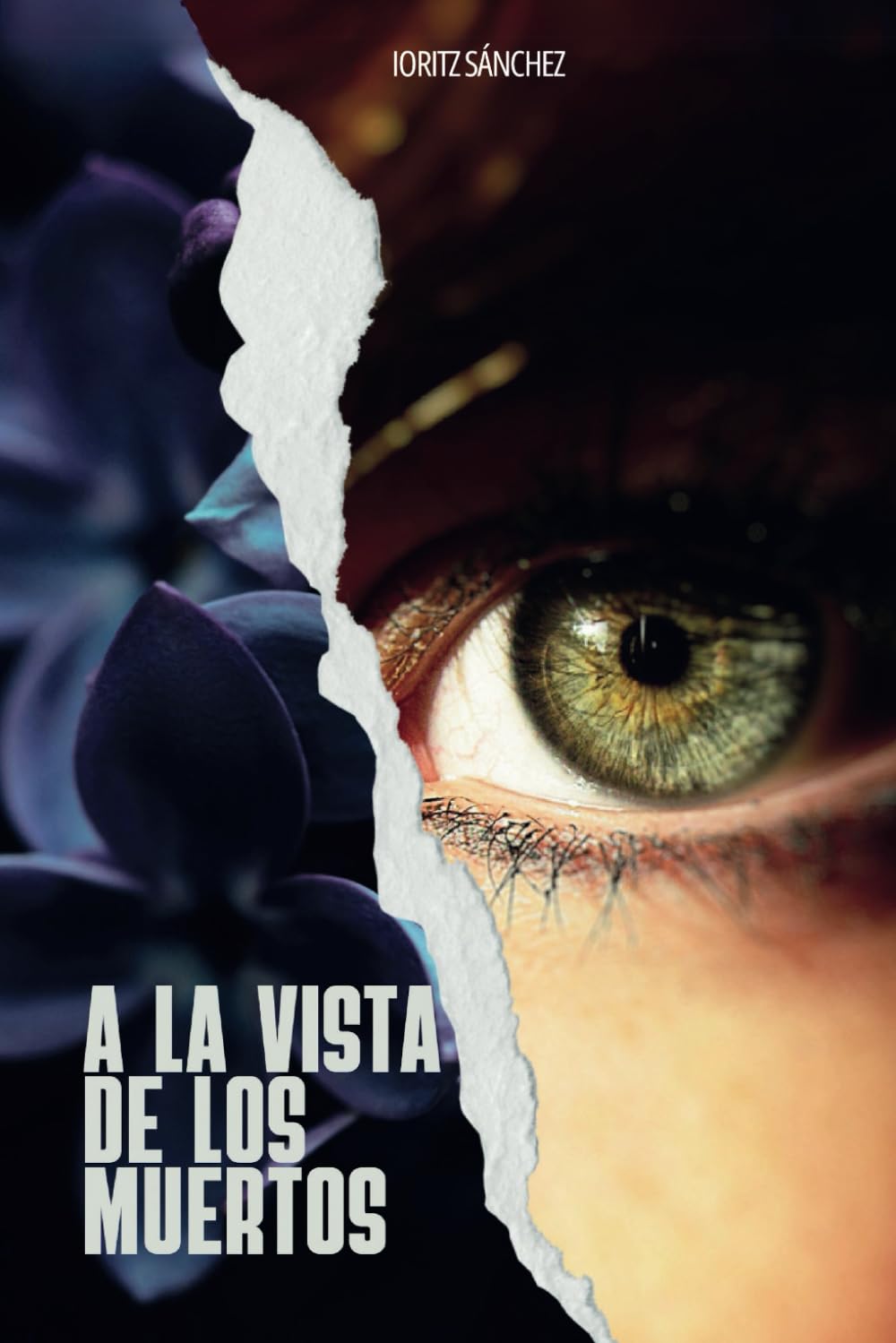 Libro: A LA VISTA DE LOS MUERTOS